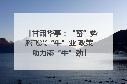 甘肃华亭：“畜”势腾飞兴“牛”业 政策助力添“牛”劲
